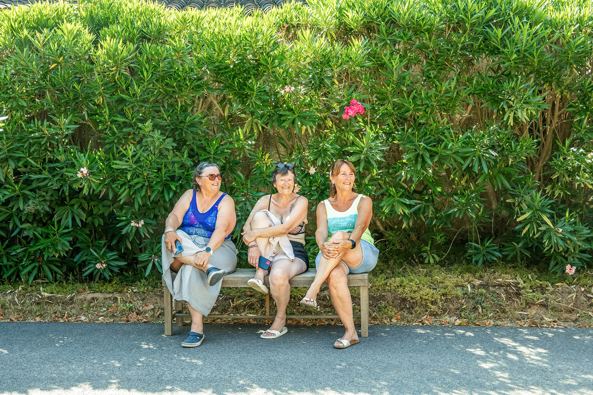 politique de confidentialite camping les palmiers hyeres